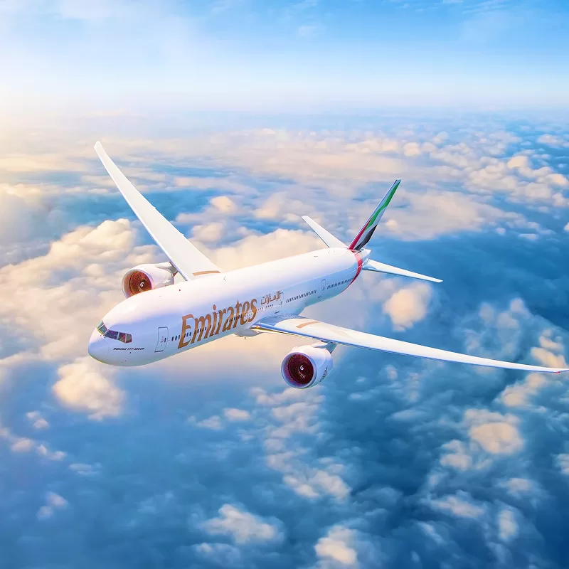 t110b9a9301ea8fc802c6ae1e81