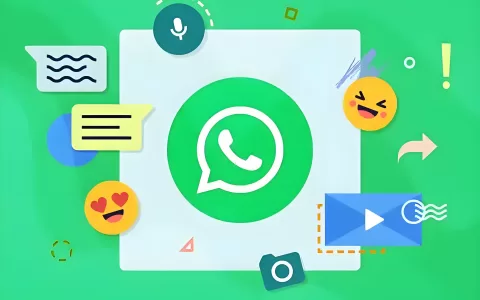 什么是WhatsApp绿标号？如何申请？
