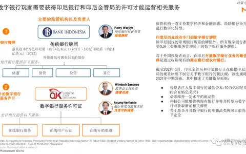 互联网巨头和传统银行在印尼数字银行领域的博弈