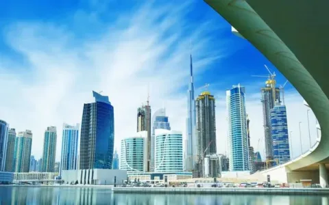 要去迪拜开公司？原来中东电商大卖都在这扎堆