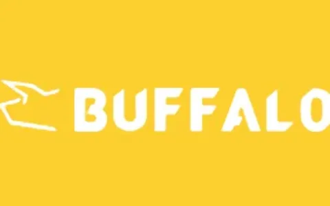Buffalo获南非第三方支付牌照