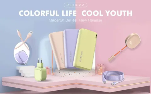 第一次经历旺季就神操作，新锐3C卖家这招“绝杀”东南亚