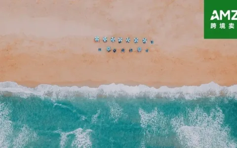 硬刚亚马逊，亏了36亿的TikTok电商急了|深度