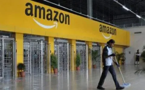 软硬兼施？亚马逊一边打压印度企业，一边加大印度市场投资