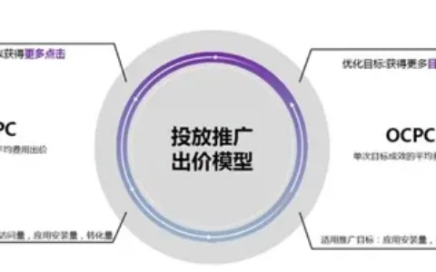 TikTok海外推广，电商广告如何投放？