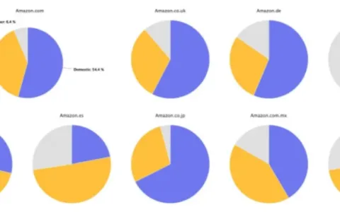 中国卖家霸屏亚马逊飙升榜!哪些类目最受关注？