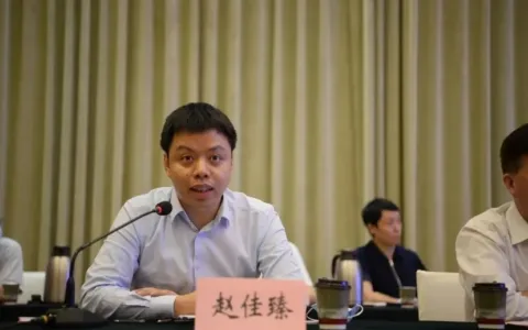 拼多多CEO赵佳臻：从幕后走到台前