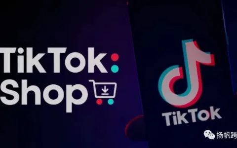 上市前的最后“底牌”？TikTok小店能否实现字节跨境大厂梦