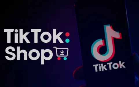 真能打！单品一周卖近70万美元！TikTok Shop美国小店(11.27-12.3)新榜