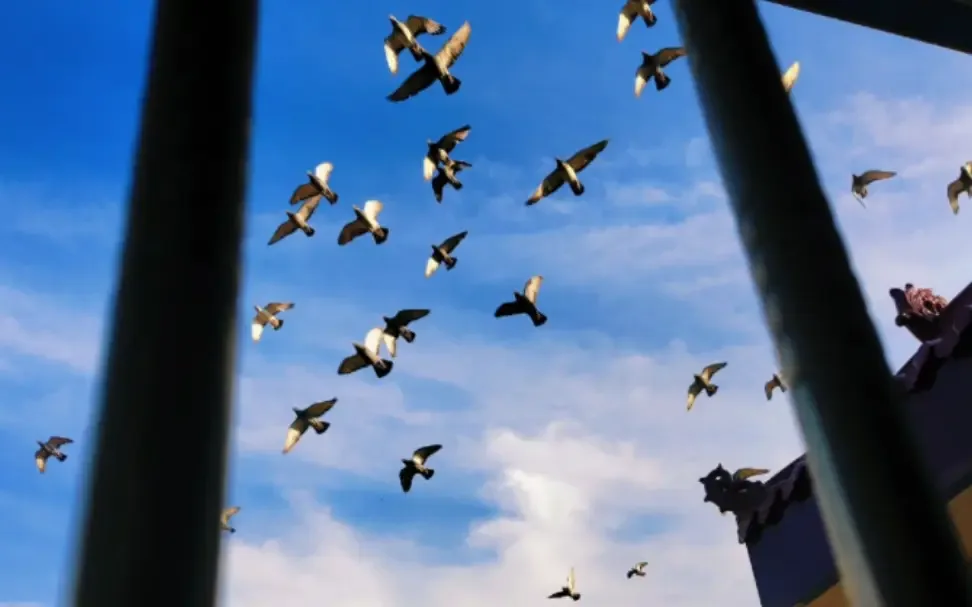 印度手游赶超中国倒计时，如何扩大内需成关键