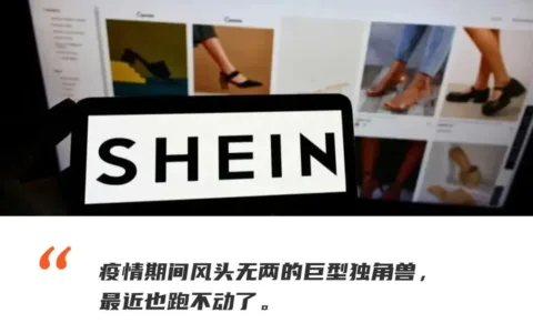 最新估值狂减360亿美元，SHEIN也“跌”下神坛