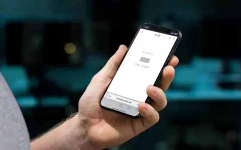 海外爆红的字谜游戏 Wordle，现在有了中文版