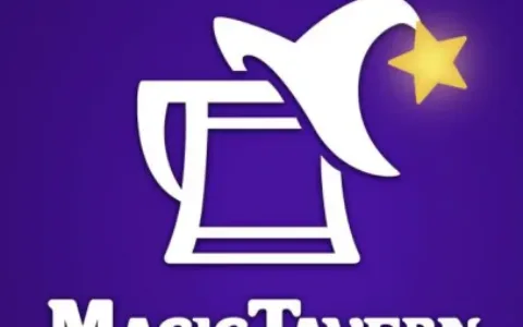 海外月流水达到2亿，这个团队做出了大厂都做不了的成绩