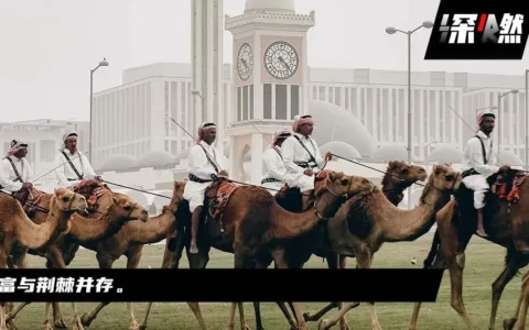 电商巨头，争夺中东土豪的钱包