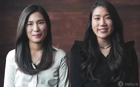 靠中国淘米水爆赚千万美金？美国人靠中国文化做独立站，复购率超50%