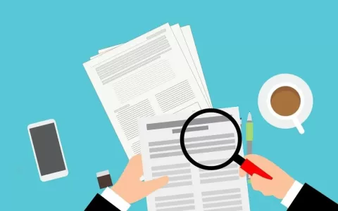 机遇和挑战并存，如何把握泛娱乐社交出海新风向？