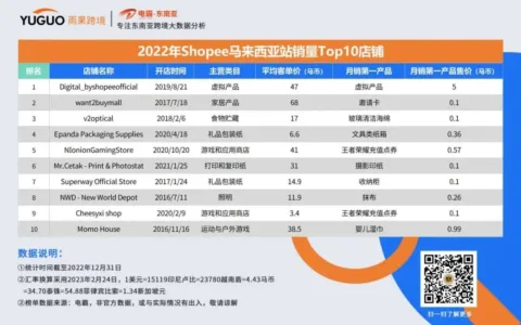 一场关于东南亚电商2022年的回顾