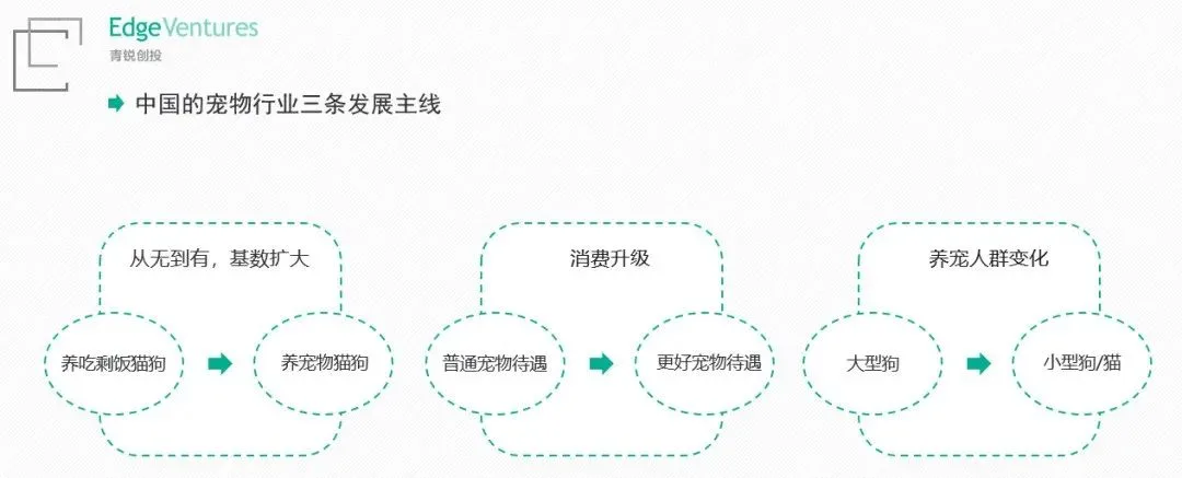 牵狗绳创收千万美金！WILD ONE如何打造网红宠物品牌？