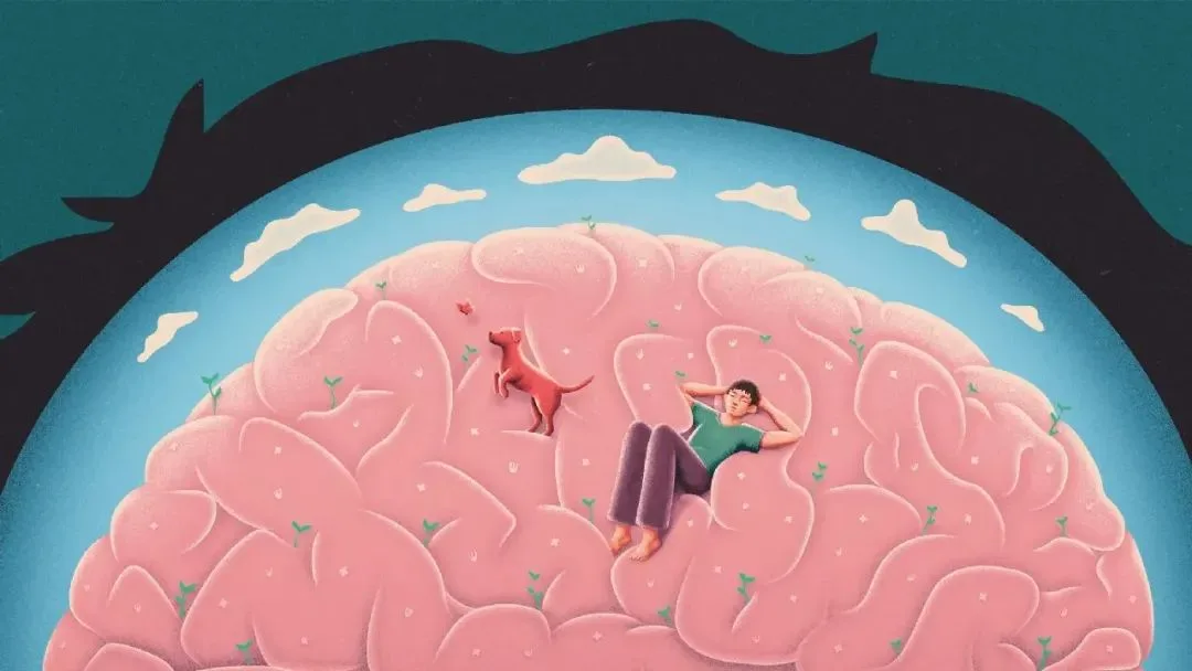 聊聊国内「类Sora模型」发展现状，和 Sora 的差距到底有多大？