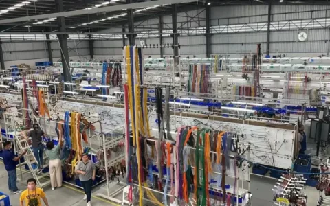 去东南亚找增长洼地！看到希望，看到虚妄