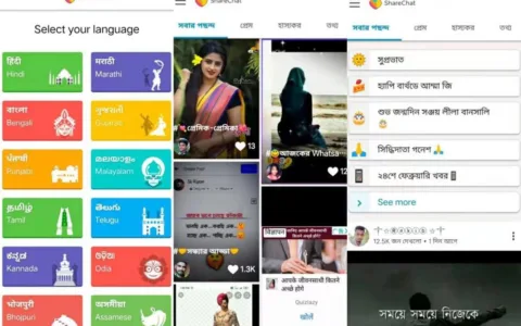 美国社交巨头盯上了“印度版”TikTok