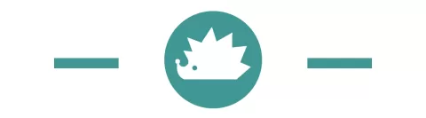 超级主播出海，冰火两重天