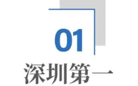 跨境电商，深圳杀疯了