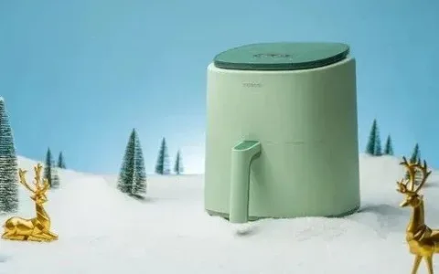 亚马逊VC大卖做到百亿市值！小家电出海有多挣钱？