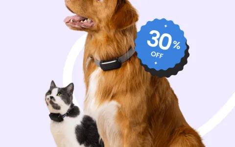 年收超8亿，爆卖百万台！宠物智能项圈横扫全球