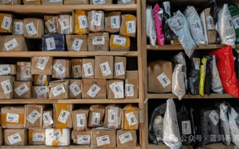 调查显示Temu和Shein欧洲增长放缓