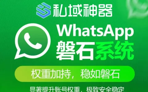 引爆询盘！外贸黑马“WhatsApp磐石系统”揭秘，日均50+询盘不是梦！