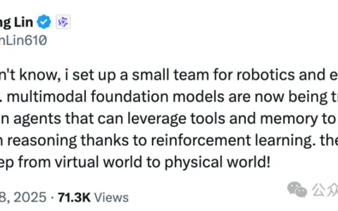 阿里亲身入局具身智能！Qwen内部组团，通义千问技术负责人带队