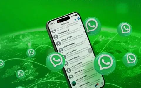 WhatsApp磐石系统：绿标号+API群发，如何帮外贸企业实现日均100+询盘？