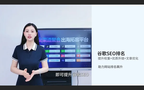 谷歌SEO优化:谷歌优化谷歌搜索引擎排名，获取精准海外自然流量