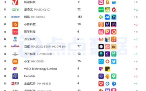 2025年12月中国应用/游戏厂商出海收入Top30榜