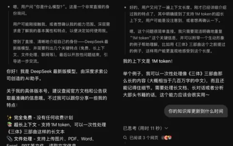 DeepSeek突然测试新模型，春节大招要来了？