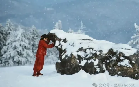 2025，长剧VS短剧，究竟是谁抢赢了市场？