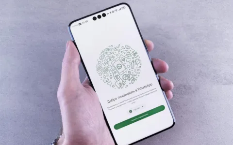 我的WhatsApp双向私信群发技巧，这些坑我差点没踩死