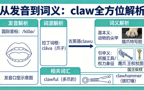 从发音到词义：claw全方位解析